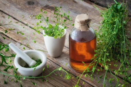 Kokoška pastuší tobolka, Capsella bursa-pastoris