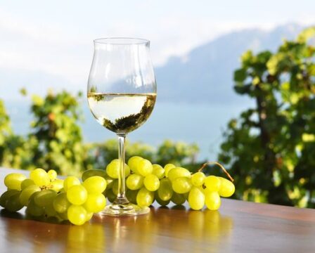 vino_shutterstock_212206840